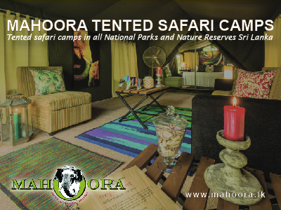 mahoora tented safari camps sri lanaka