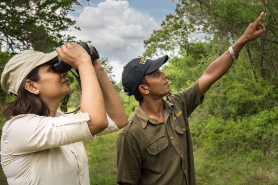 A special guide in Sri Lanka