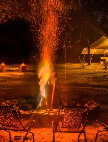 Monthly News Bulletin - September 2025