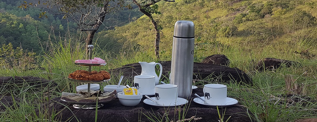 29 Ahaspokuna Bush Walks Camp Snack Tea Arrangements